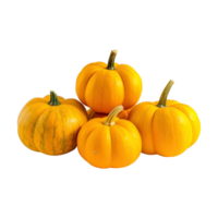 a group of whole ripe pumpkins isolated on transparent background. clipping path. png