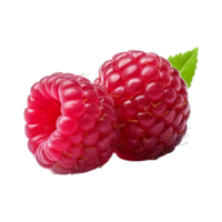 Fresh ripe raspberries with leaves isolated on transparent background. png