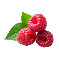 Fresh ripe raspberries with leaves isolated on transparent background. png