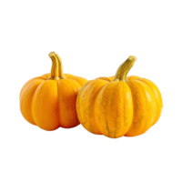 a group of whole ripe pumpkins isolated on transparent background. clipping path. png