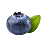 Fresh ripe blueberry isolated on transparent background png