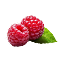 Fresh ripe raspberries with leaves isolated on transparent background. png