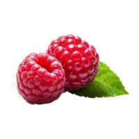 Frais mûr framboises avec feuilles isolé sur transparent Contexte. ai généré png