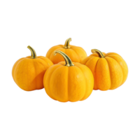 a group of whole ripe pumpkins isolated on transparent background. clipping path. png