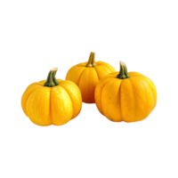 a group of whole ripe pumpkins isolated on transparent background. clipping path. png