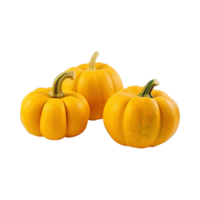 a group of whole ripe pumpkins isolated on transparent background. clipping path. png