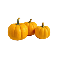 a group of whole ripe pumpkins isolated on transparent background. clipping path. png