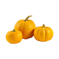 a group of whole ripe pumpkins isolated on transparent background. clipping path. png