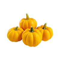 a group of whole ripe pumpkins isolated on transparent background. clipping path. png