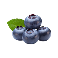 Fresh ripe blueberries isolated on transparent background png