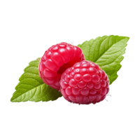 Fresh ripe raspberries with leaves isolated on transparent background. png