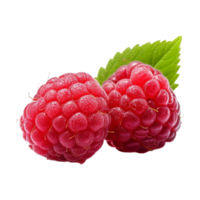 Fresh ripe raspberries with leaves isolated on transparent background. png