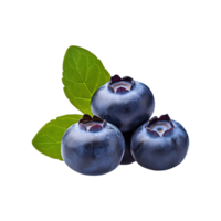 Fresh ripe blueberries isolated on transparent background png