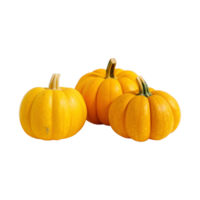 a group of whole ripe pumpkins isolated on transparent background. clipping path. png