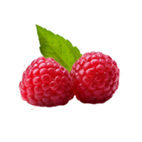 Fresh ripe raspberries with leaves isolated on transparent background. png