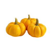 a group of whole ripe pumpkins isolated on transparent background. clipping path. png