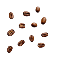 roasted coffee beans isolated on transparent background. clipping path. png