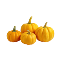 a group of whole ripe pumpkins isolated on transparent background. clipping path. png