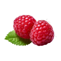 Fresh ripe raspberries with leaves isolated on transparent background. png