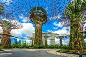 imagen panorámica de los jardines junto a la bahía en singapur durante el día foto