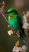 un magnífico ver de un verde brillante Tangara encaramado en un rama.hecho con generativo ai. foto