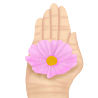 A bloom flower on the hand png