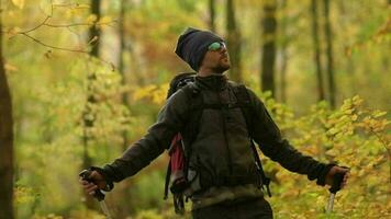 vandrare njuter naturskön falla lövverk medan på en spårhuvud. caucasian män i hans 30s med solglasögon. video