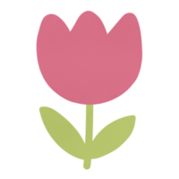 pastello rosa fiore tulipano elemento png