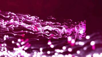 dark pink color particles Moving in zig zag way background video