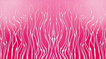 white color wavy abstract lines moving over dark pink background video