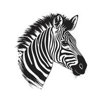 zebra, vintage logo line art concept black and white color, hand drawn illustration vector