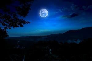 hermosa noche con lleno Luna y silueta de arboles foto
