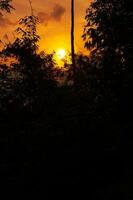 Sunset with silhouette of trees in foreground photo