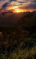 Calm sunset landscape with mountain and forest photo