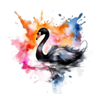 Watercolor black swan. Illustration png