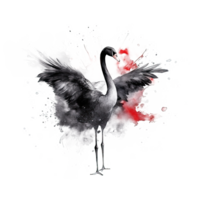 Watercolor black swan. Illustration png