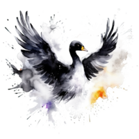 Watercolor black swan. Illustration png