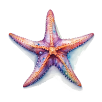 acuarela estrella de mar. ilustración ai generativo png