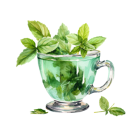 Watercolor mitn tea. Illustration png