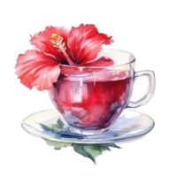 Watercolor tea with hibiscus flower. Illustration png