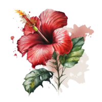 röd hibiskus blomma vattenfärg. illustration ai generativ png