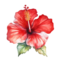 röd vattenfärg hibiskus blomma. illustration ai generativ png