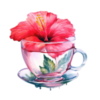 Watercolor tea with hibiscus flower. Illustration png