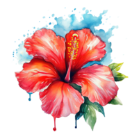 röd hibiskus blomma vattenfärg. illustration ai generativ png