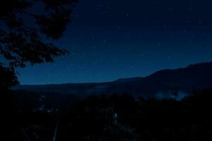 hermosa noche con estrellado cielo terminado montaña y silueta de un árbol foto