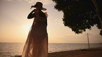 Retired Woman Enjoying Summer Topical Sea Sunset video