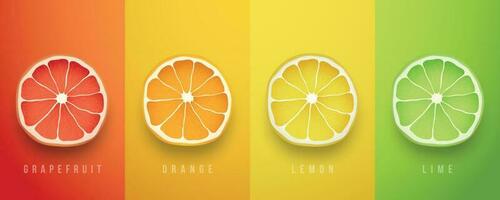 Grapefruit, orange, lemon and lime fresh fruits. 3d vector realistic set.