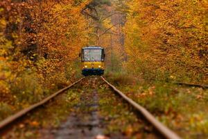 autumn forest among which goes a strange tram photo