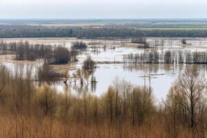 river flooded meadow, forests and fields in the water photo