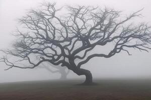 solitario desnudo árbol en el niebla generativo ai foto